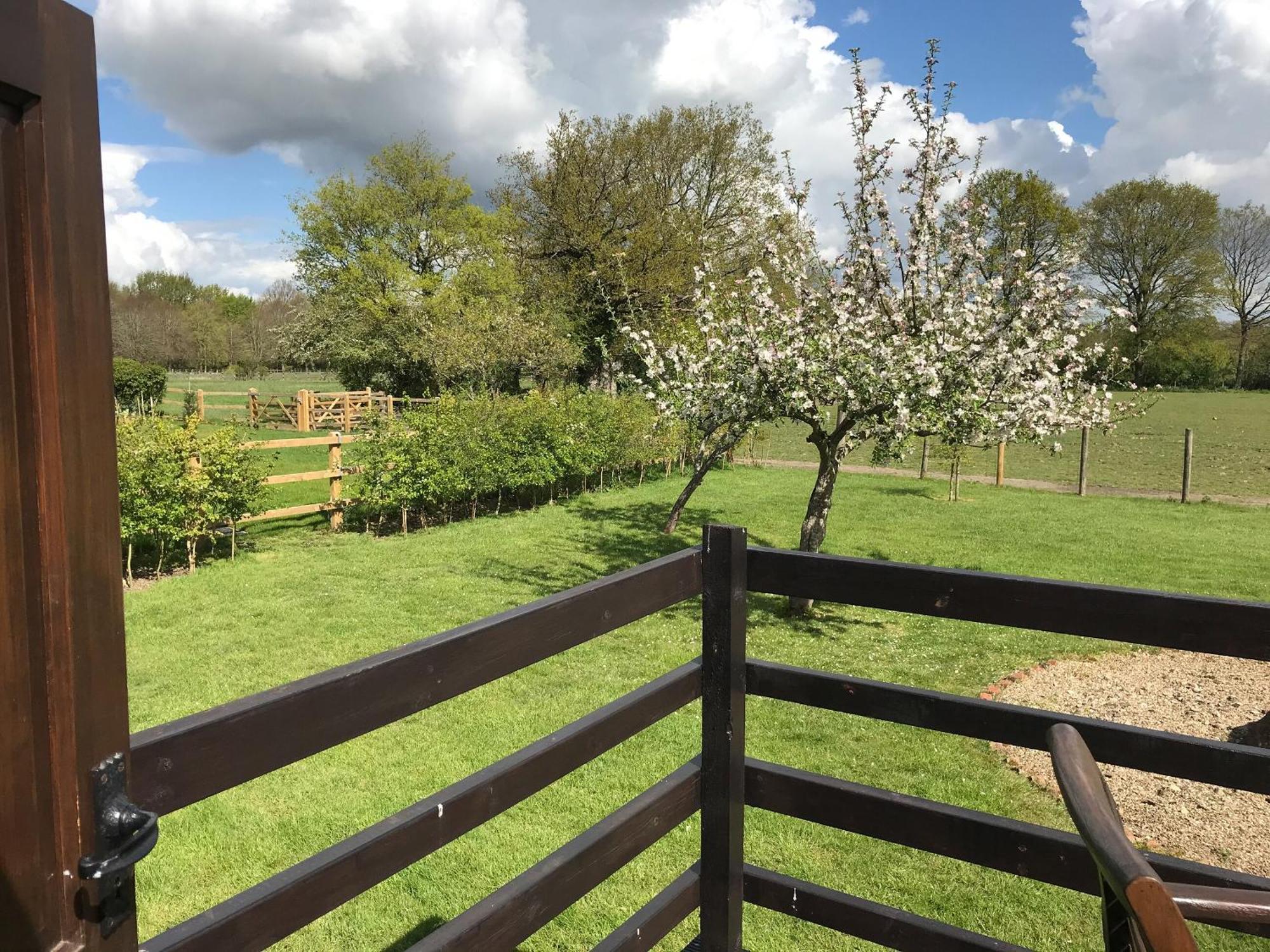 Maplehurst Barn Stables Staplehurst Extérieur photo