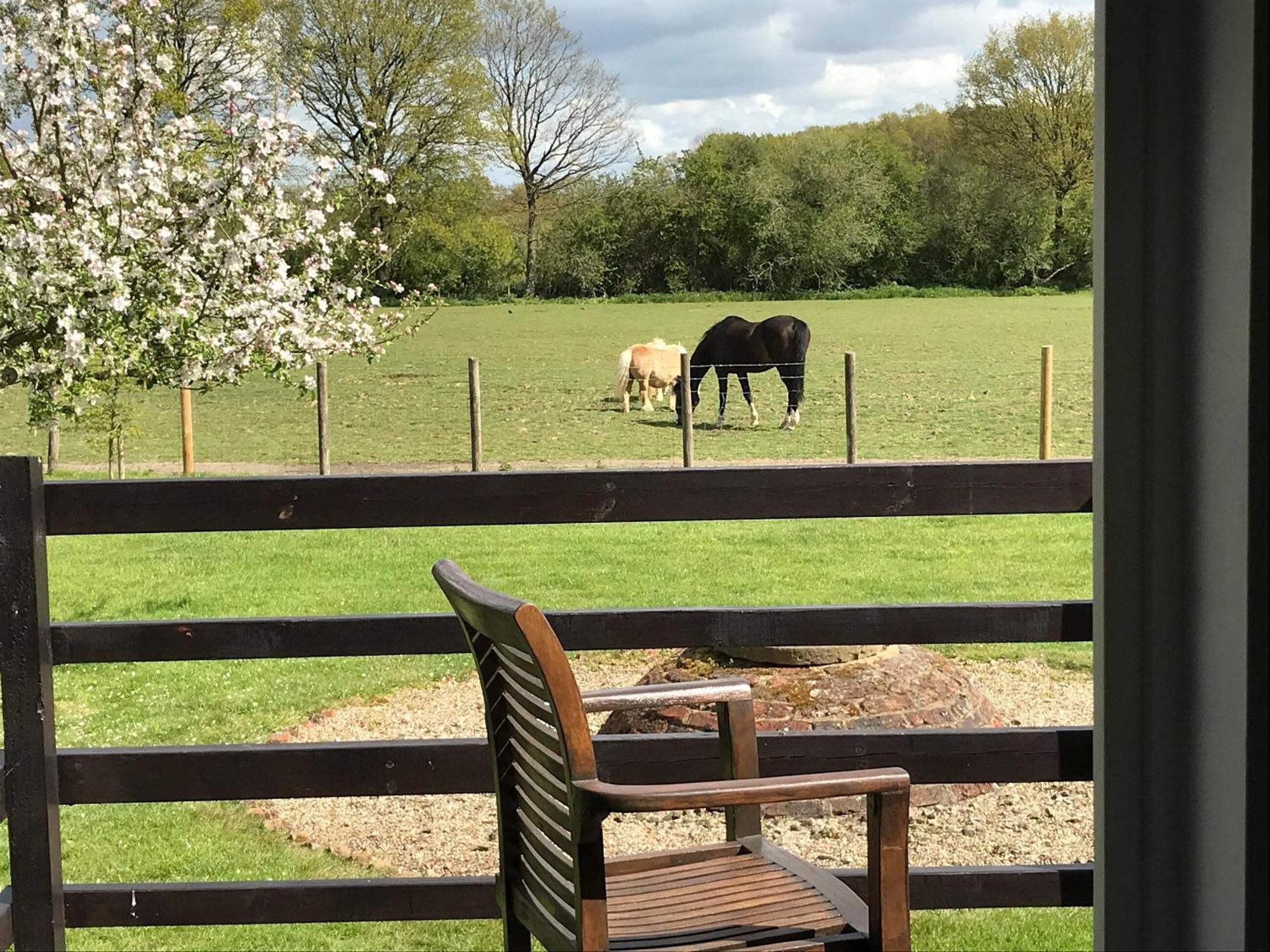 Maplehurst Barn Stables Staplehurst Extérieur photo